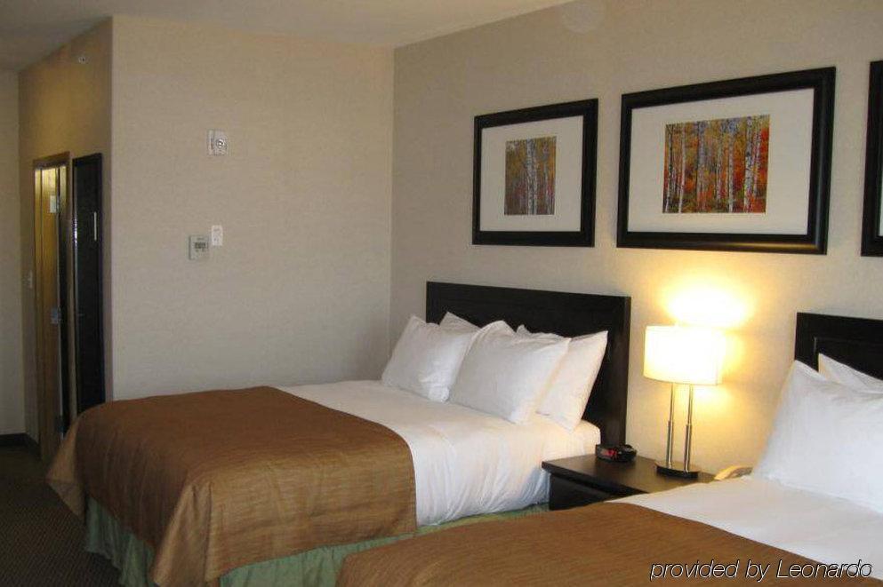 Best Western Wainwright Inn & Suites Room photo
